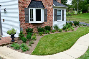 picture of softscaping path in front yard with nice flowers, shrubs, and grass by landscapers - DeMichele Inc Media, PA